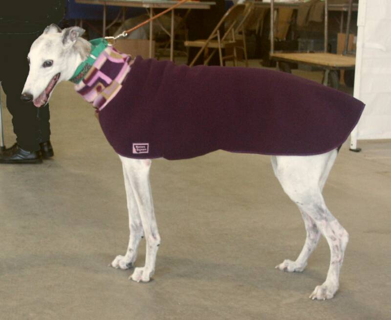 Ice is wearing a plum coat, size medium.